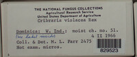 Image Associated With the Occurence